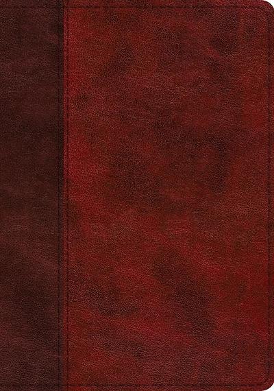 Esv Study Bible (trutone, Burgundy/red, Timeless Design)