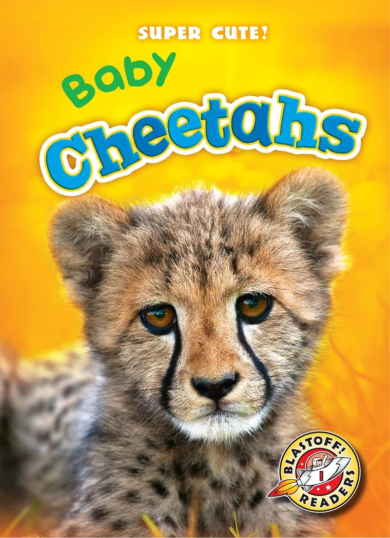 Baby Cheetahs