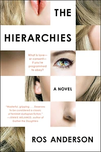 The Hierarchies: A Novel