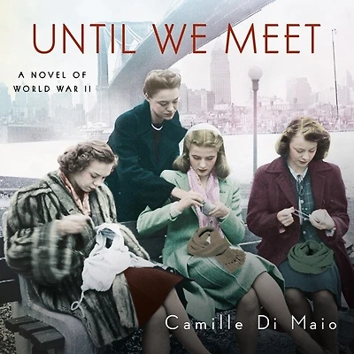 Until We Meet Lib/E