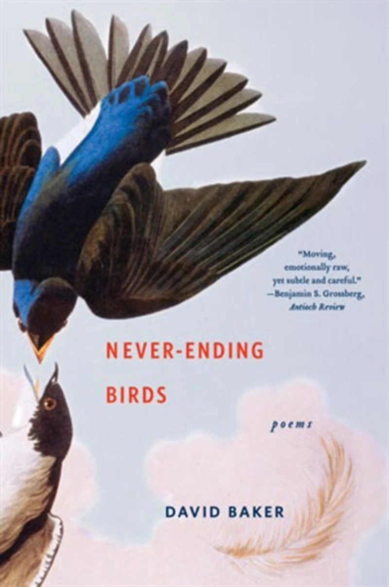 Never-ending Birds: Poems