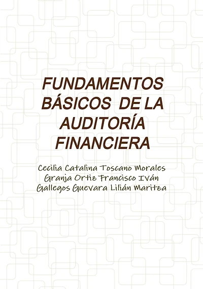 Fundamentos Básicos de la Auditoría Financiera