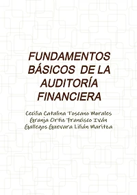 Fundamentos Básicos de la Auditoría Financiera