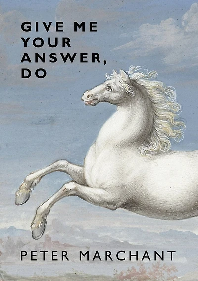Give Me Your Answer, Do