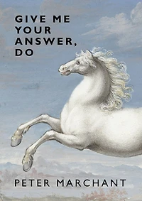 Give Me Your Answer, Do
