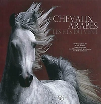 Chevaux arabes: les fils du vent