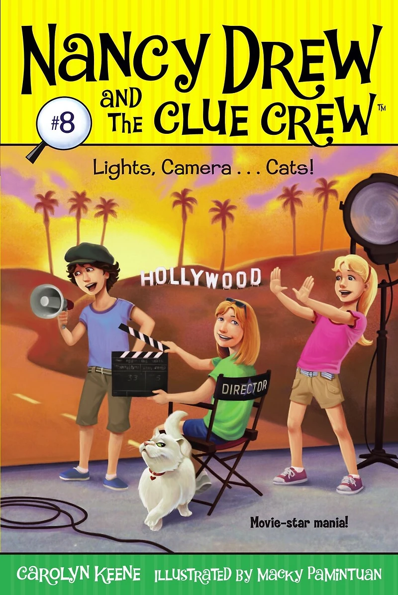 Lights, Camera . Cats!
