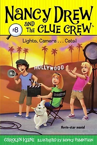 Lights, Camera . Cats!