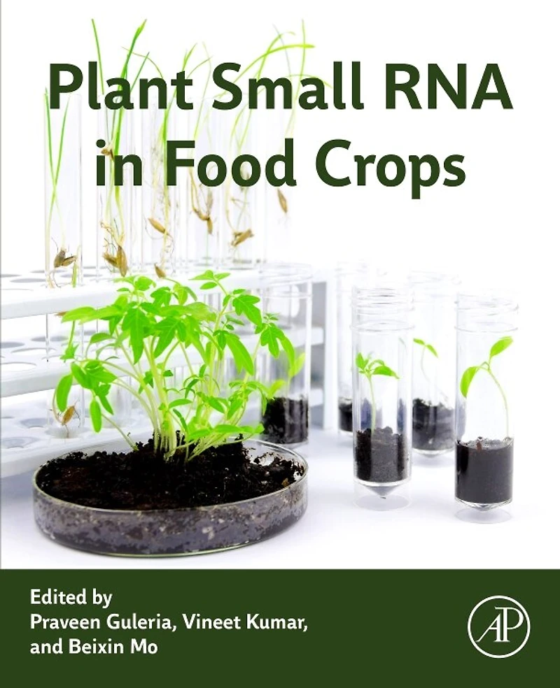 Plant Small RNA Food Crops