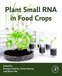 Plant Small RNA Food Crops