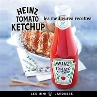 Heinz Tomato Ketchup : les meilleures recettes: les meilleures recettes