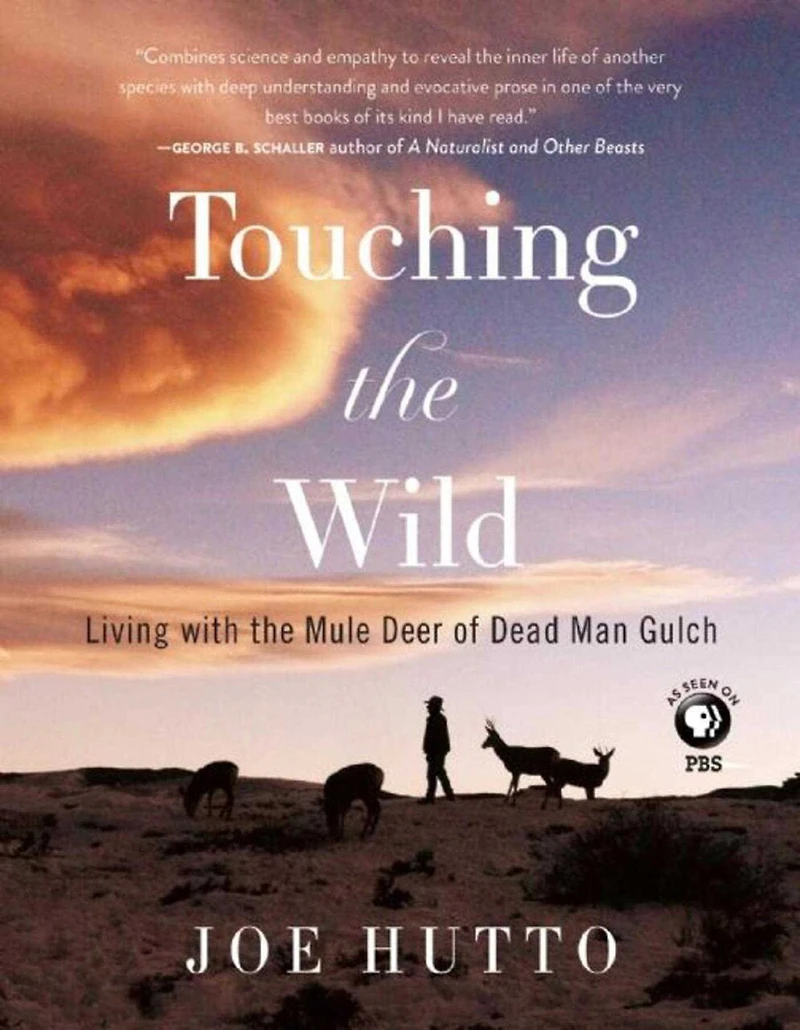 Touching the Wild: Living with Mule Deer of Deadman Gulch