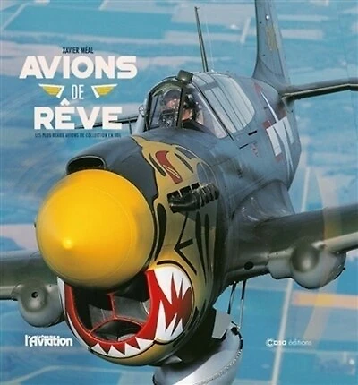 Avions de rêve: les plus beaux avions de collection en vol