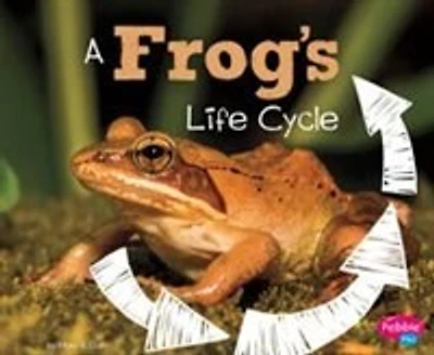 A Frog's Life Cycle