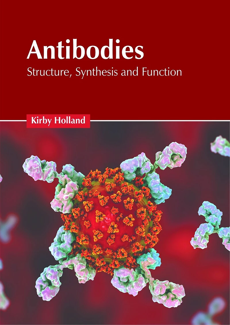 Antibodies: Structure, Synthesis and Function