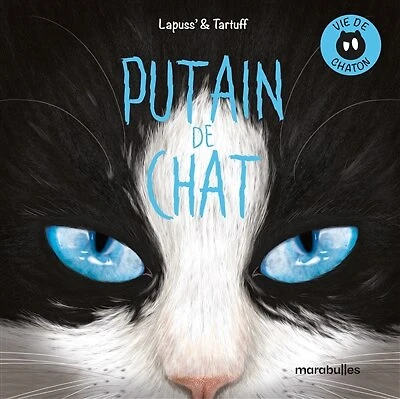 Vie de chaton