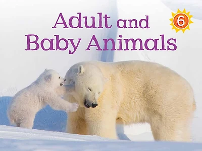 Adult And Baby Animals: Inuinnaqtun Edition