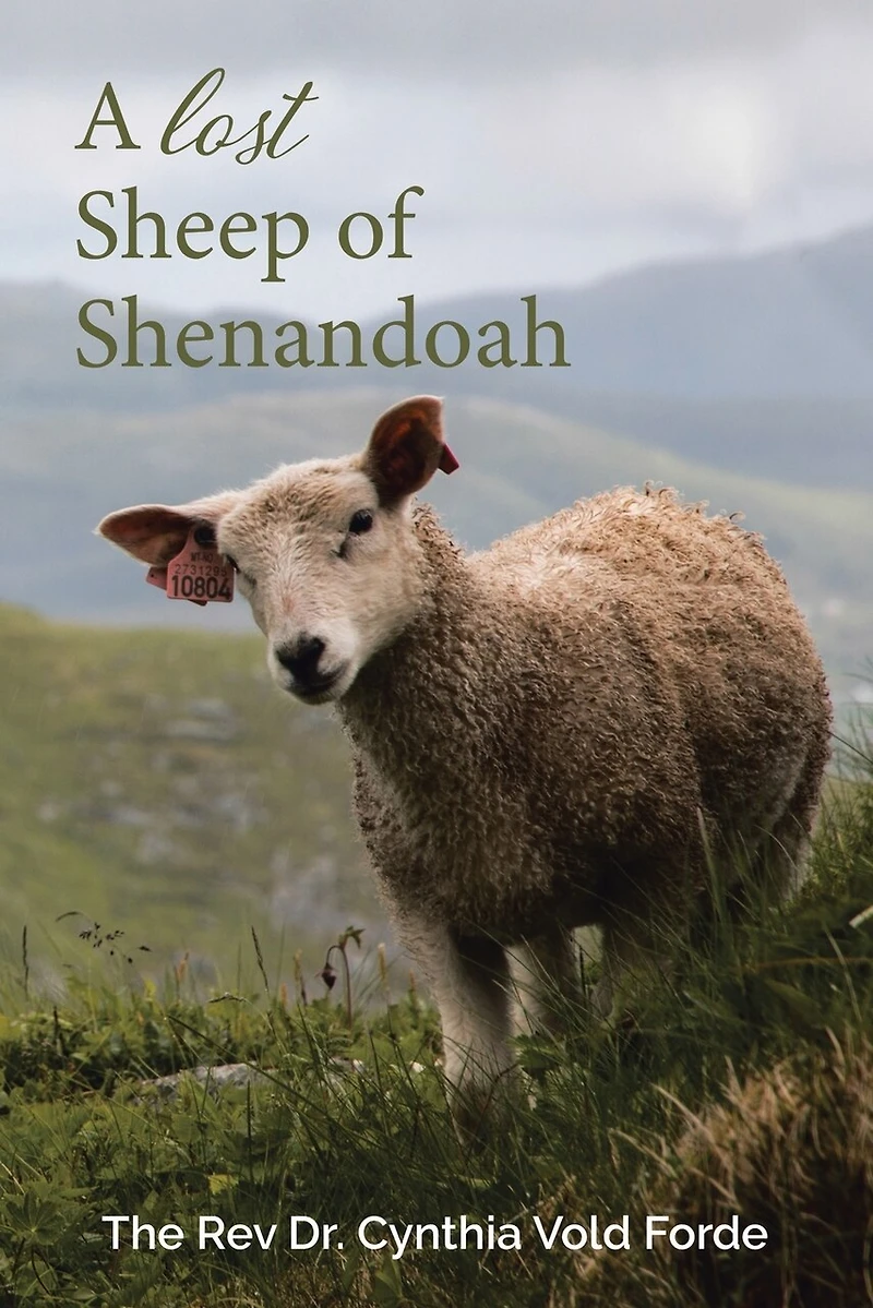 A Lost Sheep of Shenandoah: Charles Edwin Rinker Virginia and Harry Bernard King Iowa: Dna Reveals They Were the Same Man