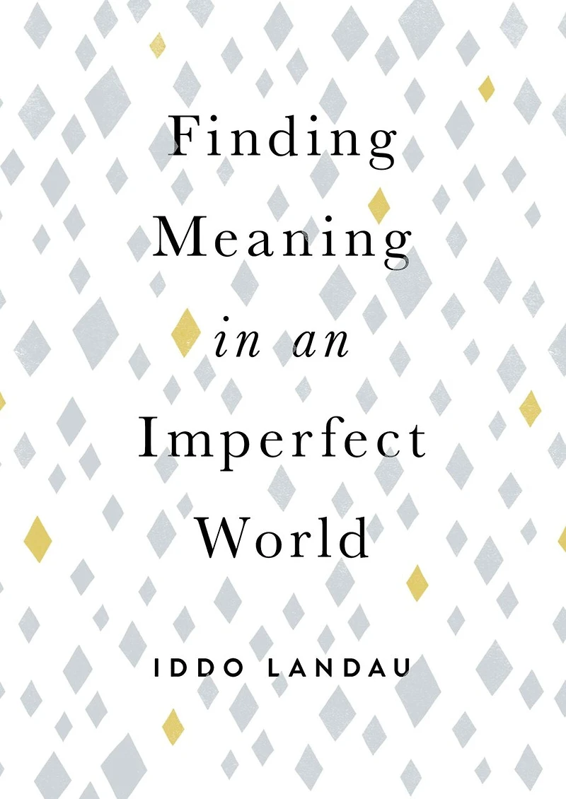 Finding Meaning An Imperfect World