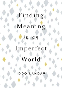 Finding Meaning An Imperfect World