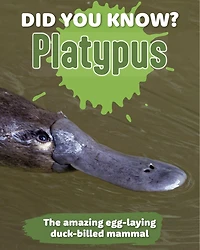 Did You Know? Platypus: The amazing egg-laying duck-billed mammal