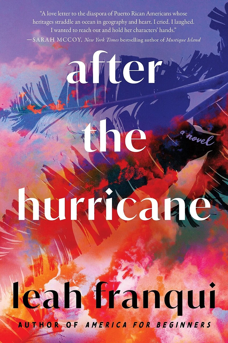 After the Hurricane: A Novel