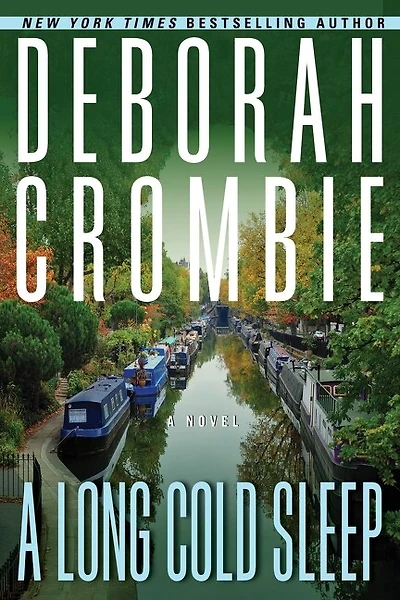 A Long Cold Sleep: A Novel