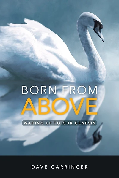 Born From Above: Waking Up To Our Genesis