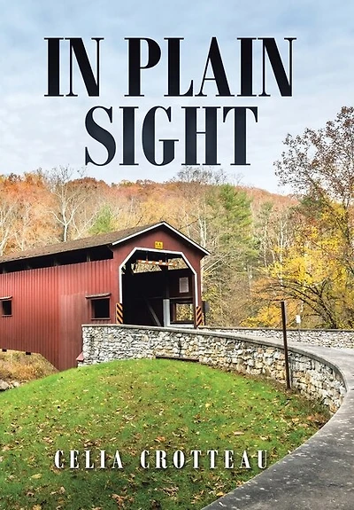 In Plain Sight