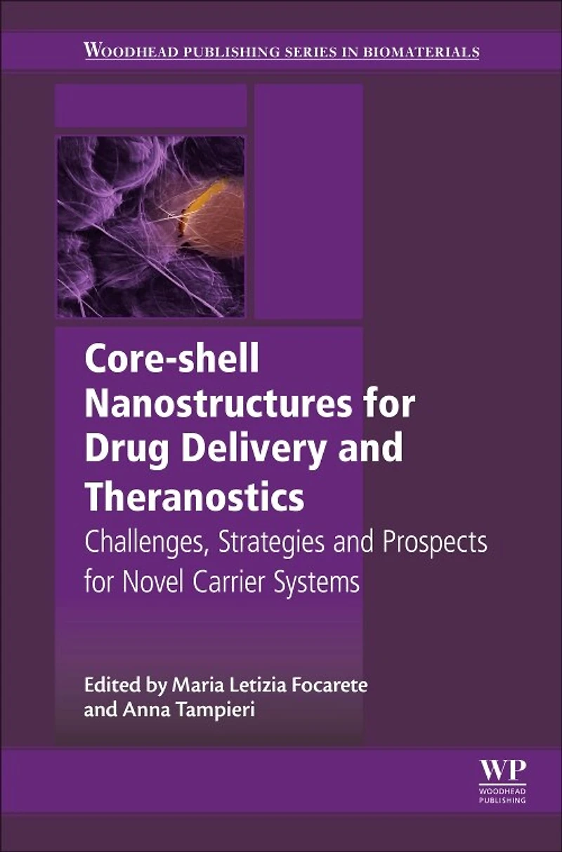 Core-Shell Nanostructures for Drug Delivery and Theranostics: Challenges, Strategies Prospects Novel Carrier Systems