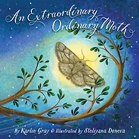 An Extraordinary Ordinary Moth
