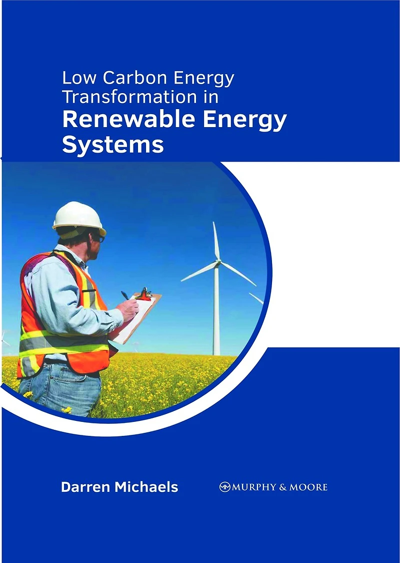 Low Carbon Energy Transformation in Renewable Energy Systems
