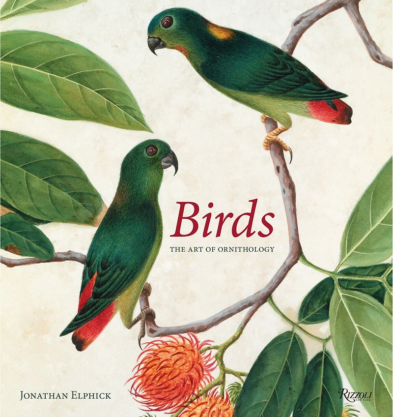 Birds: The Art Of Ornithology