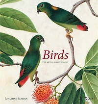 Birds: The Art Of Ornithology