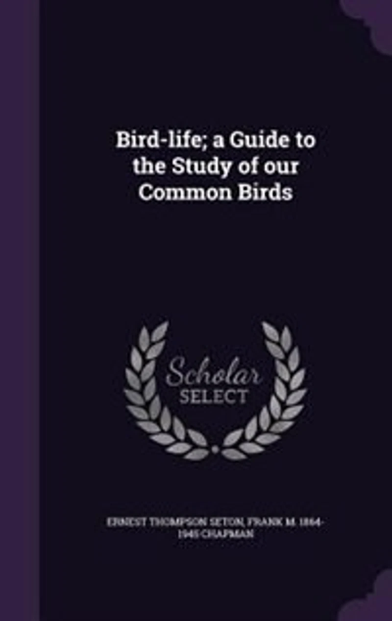 Bird-life; a Guide to the Study of our Common Birds