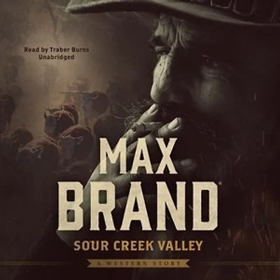 Sour Creek Valley: A Western Story