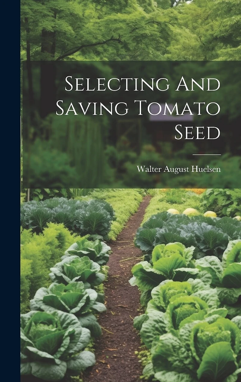 Selecting And Saving Tomato Seed
