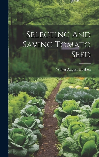 Selecting And Saving Tomato Seed