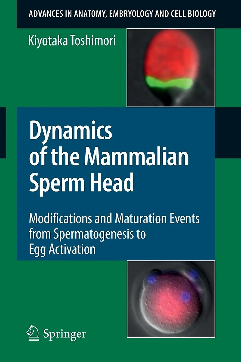 Dynamics of the Mammalian Sperm Head: Modifications and Maturation Events From Spermatogenesis to Egg Activation