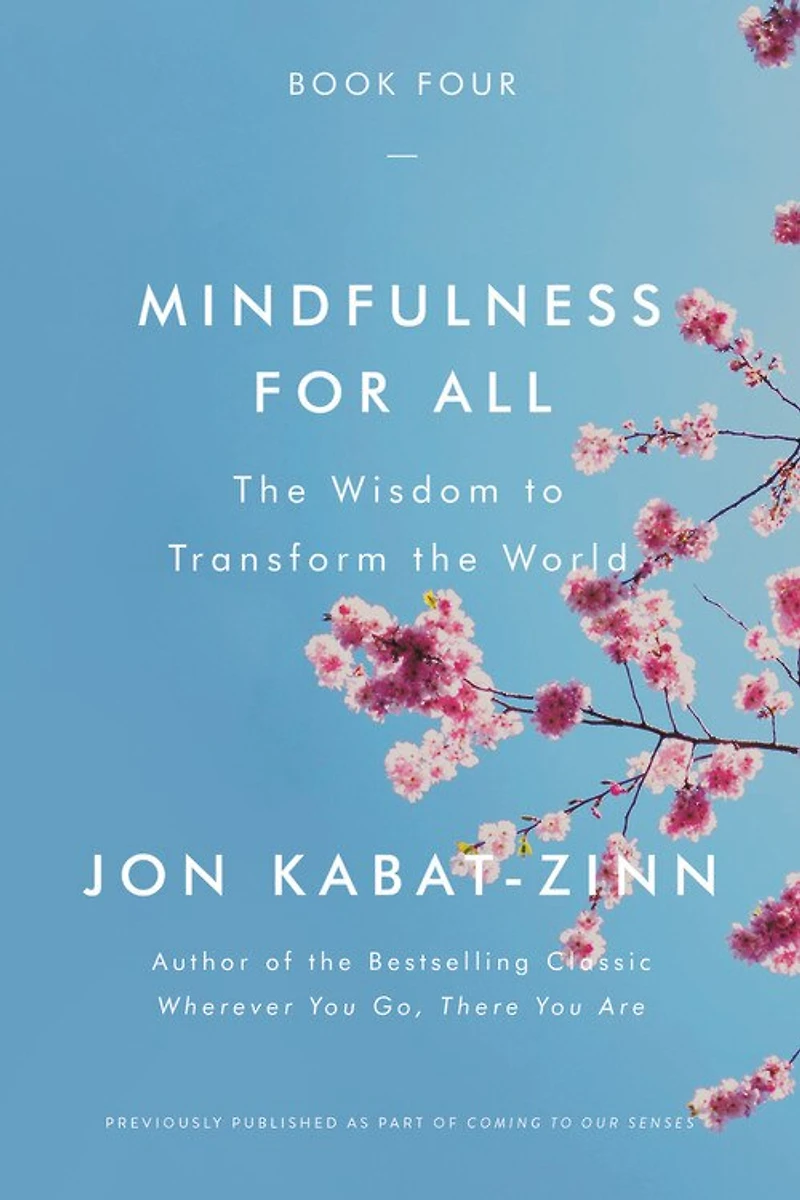 Mindfulness For All: The Wisdom To Transform World
