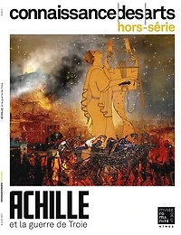 Achille et la guerre de Troie: Musée de la romanité, Nîmes