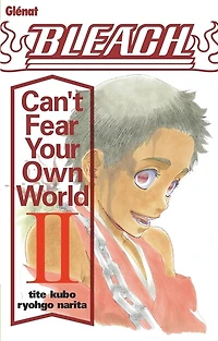 Bleach : can't fear your own world, Vol. 2