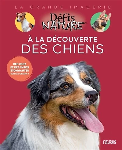 À la découverte des chiens: des quiz et des infos étonnantes sur les chiens !