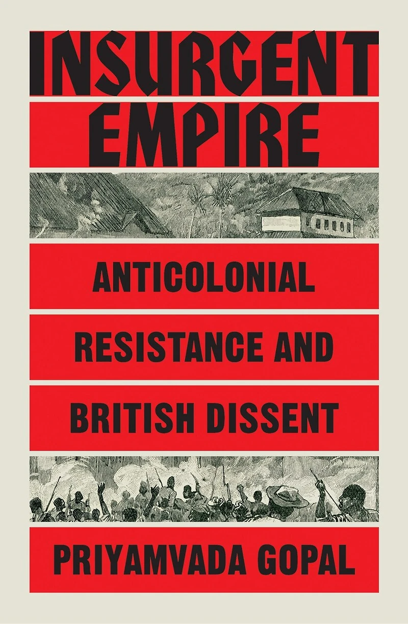 Insurgent Empire: Anticolonial Resistance And British Dissent