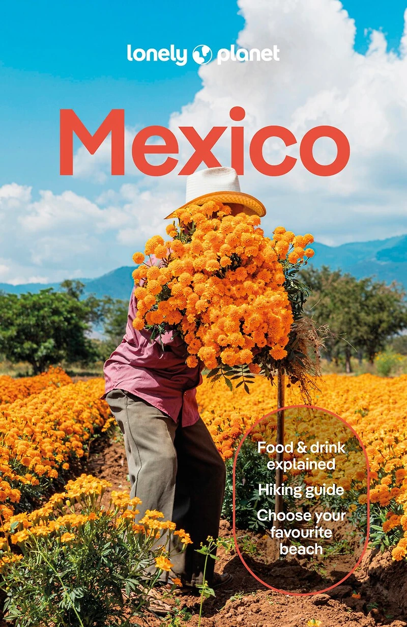 Lonely Planet Mexico 19 19th Ed.: Plan the Trip of a Lifetime, Detailed Itineraries & Maps, Insider Tips, Covers ETulum, Oaxaca, Copper Canyon and more
