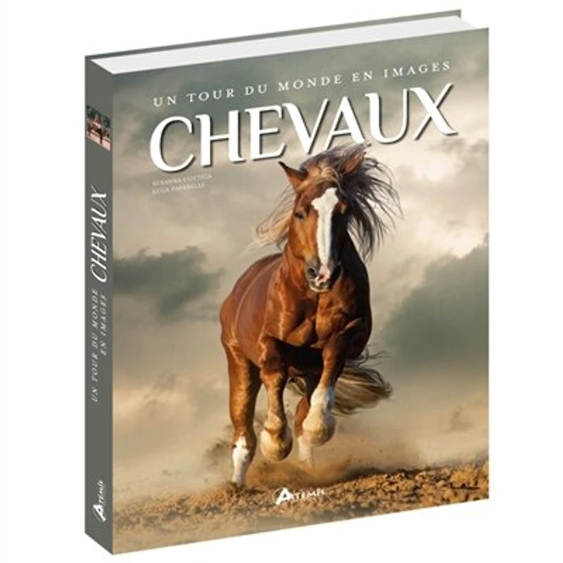 Chevaux: un tour du monde en images