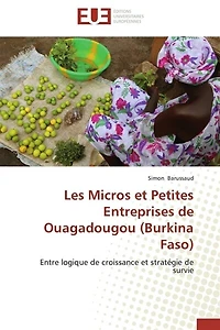 Les Micros et Petites Entreprises de Ouagadougou (Burkina Faso): Entre logique de croissance et stratégie de survie