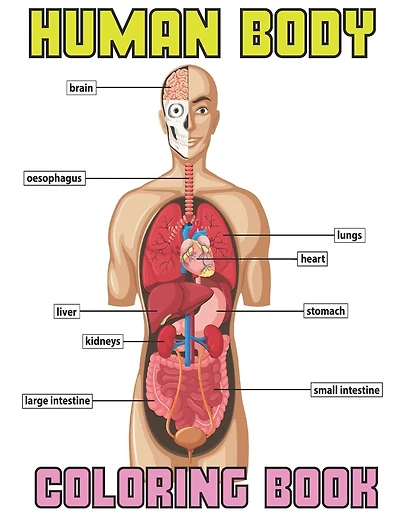 Human body coloring book: Coloring Book For Toddlers - Learn All Body Parts For Boys & Girls - The Human Anatomy coloring and activity For Kids