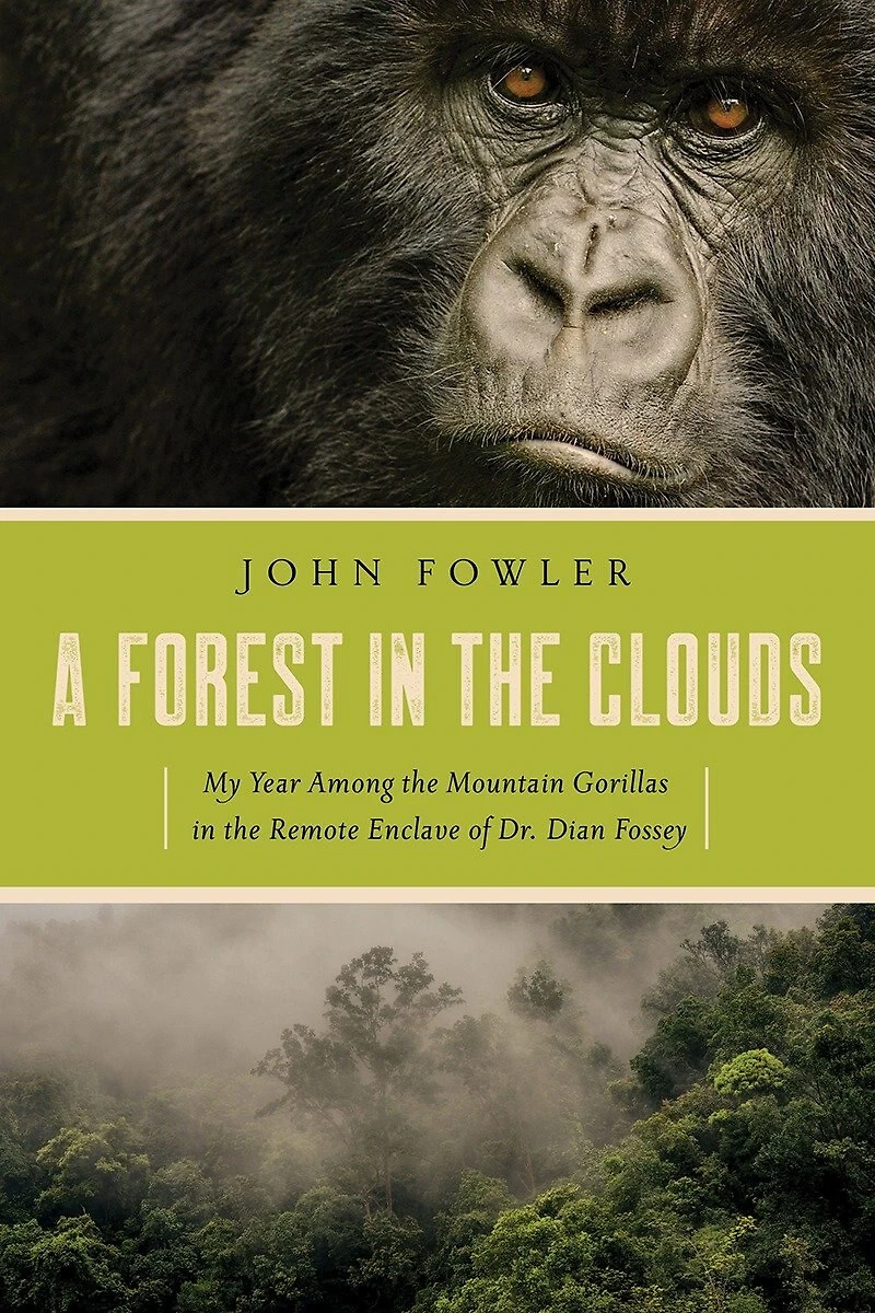 A Forest the Clouds