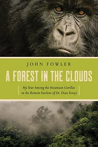 A Forest the Clouds